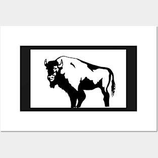 Black and White Buffalo Posters and Art